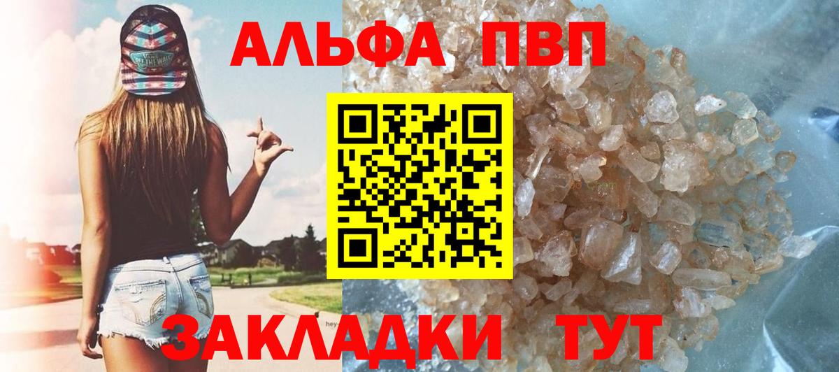 Альфа ПВП СК Елец