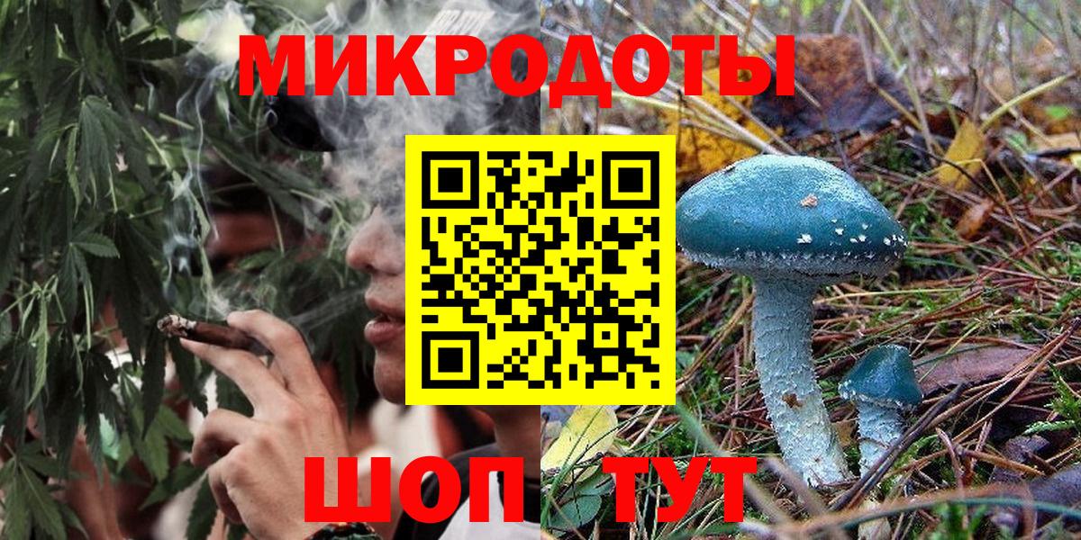 Галлюциногенные грибы Psilocybe Елец