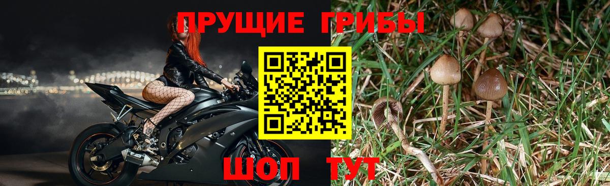 Елец  Галлюциногенные грибы мухоморы  купить наркоту  Вход с VPN 
